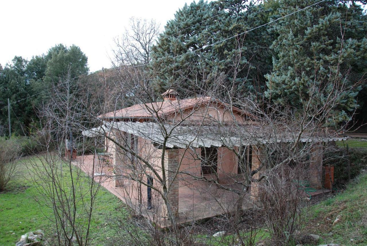 Agriturismo San Vettore 감바시 외부 사진